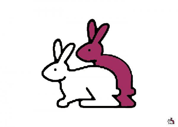 Порно Кролик Сборники