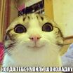 улыбочька