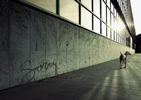 ......................