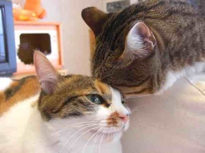 Личные фото