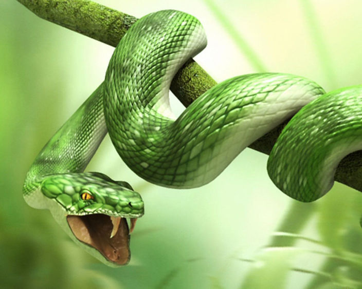 ssssssssssss