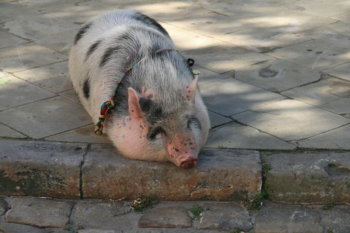 Личные фото