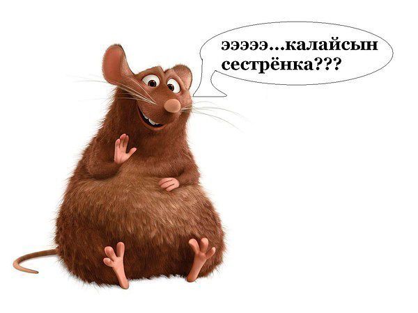 Привет!!!