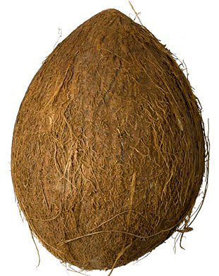 coconut