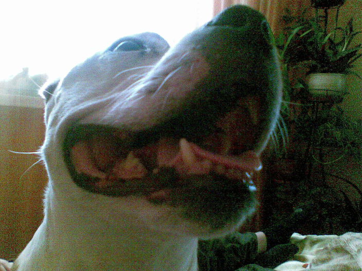 Личные фото