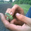 First photo