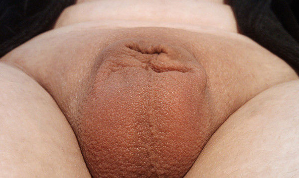 Моя Кастрация