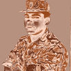 combatente