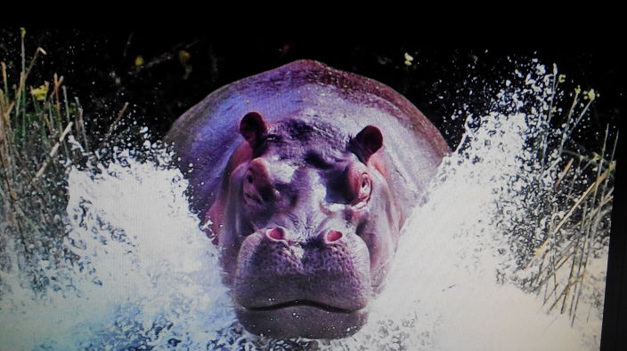 Личные фото