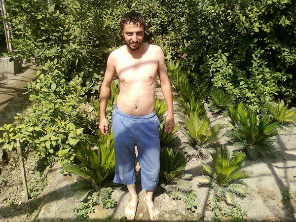 я люблю вас мойи меленкеи