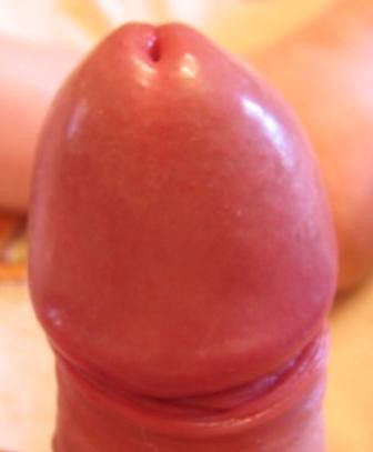 Мои старые фото