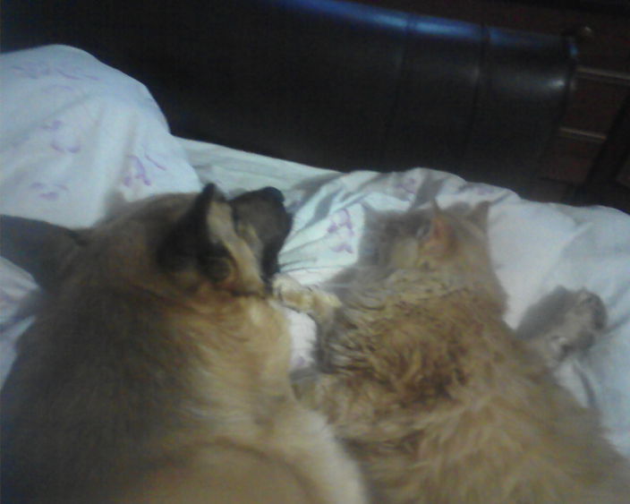 Личные фото