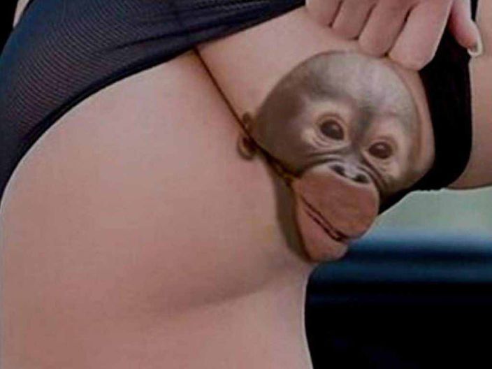 ass monkey