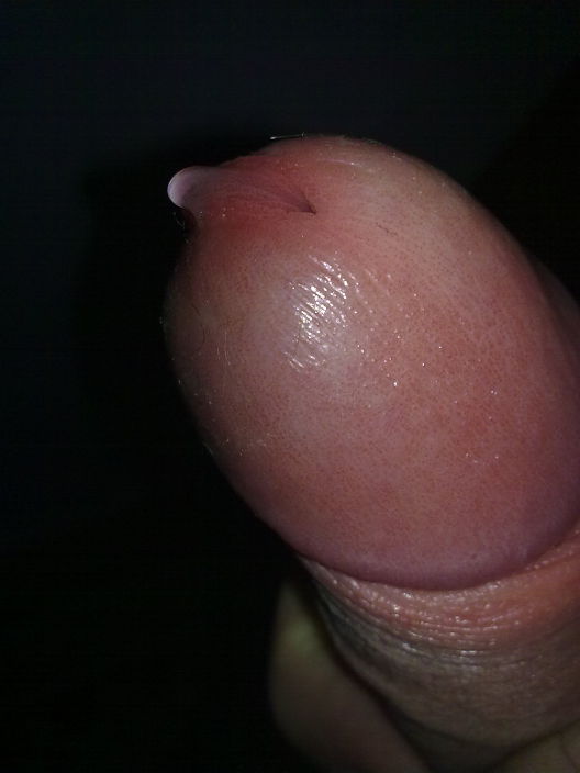Мой член