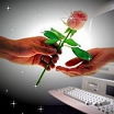Роза виртуальной любви!