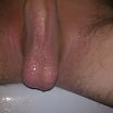 my cock