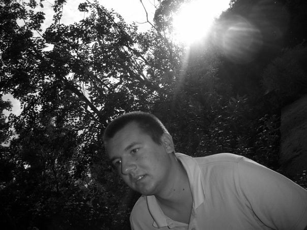 в лесу