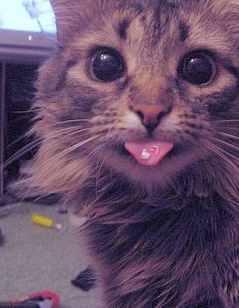 Личные фото