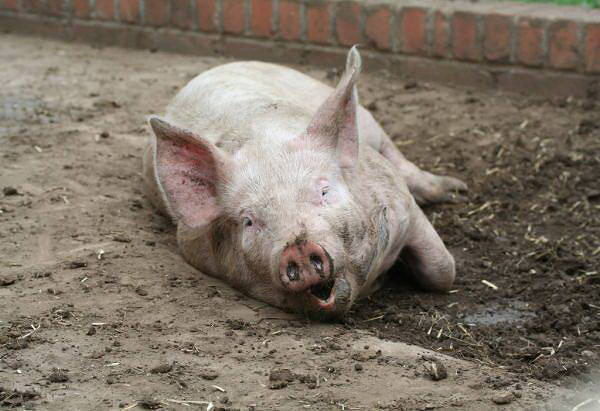 Мои старые фото