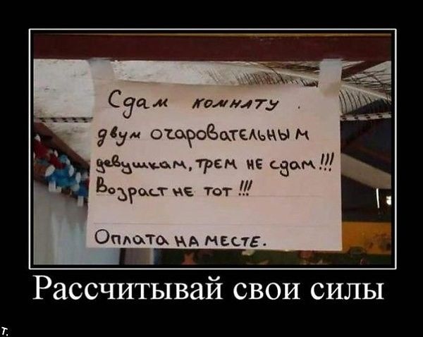 прикол из жизни