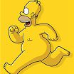 HOMER