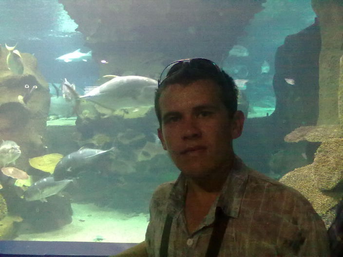 в аквариуме