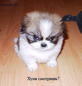 Личные фото