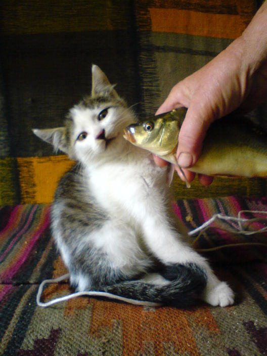 Это я по натуре