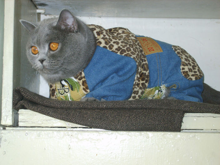 Личные фото