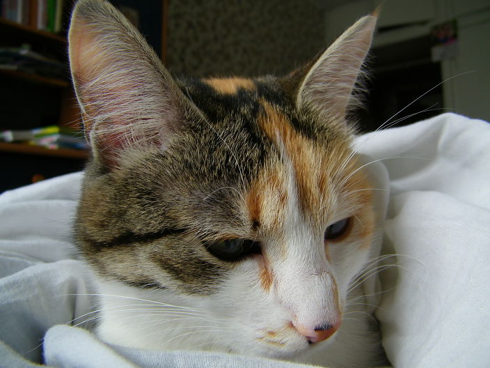 Личные фото