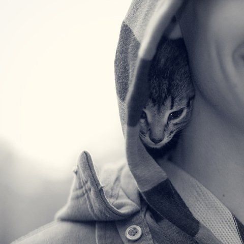 Личные фото