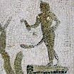 mepriapus