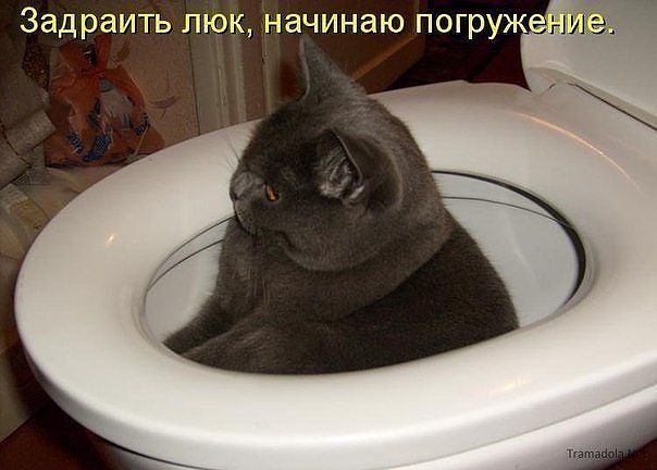 пагружение