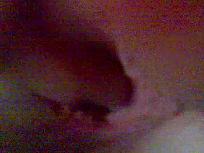 Личные видео