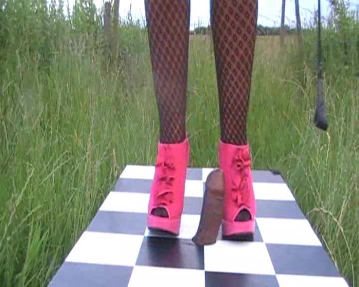 Потопталась по товарищу