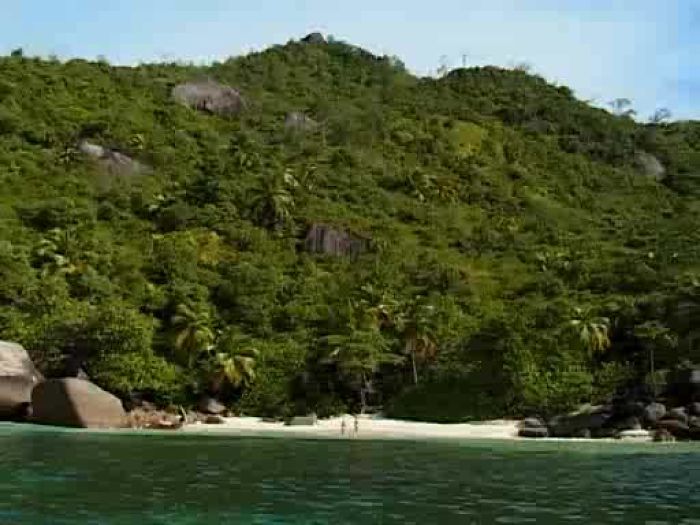 Mia Stone Porn Collection - Exotic Illusions