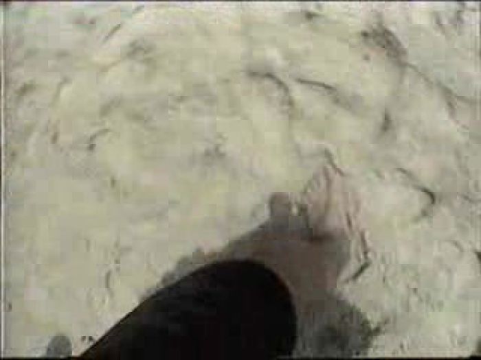 Трахает кругленькую попку