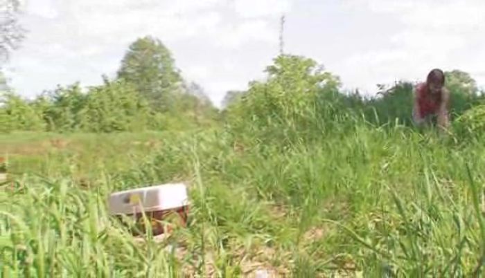 Amazing teen gets fucked outdoor